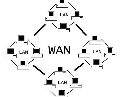 wan là gì