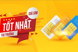 8d3607602c56de088747
